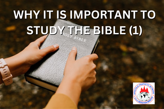 STUDY THE BIBLE
