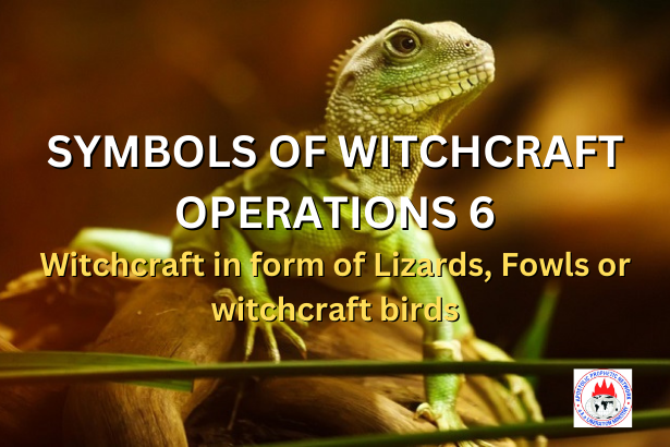 SYMBOLS OF WITCHCRAFT OPERATIONS 6 - Witchcraft in form of Lizards, Fowls or witchcraft birds