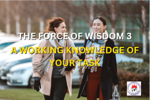 THE FORCE OF WISDOM 3 - A WORKING KNOWLEDGE OF YOUR TASK