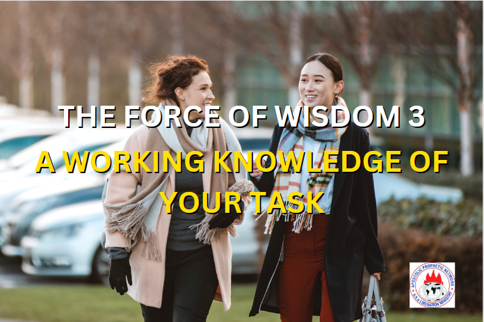 THE FORCE OF WISDOM 3 - A WORKING KNOWLEDGE OF YOUR TASK