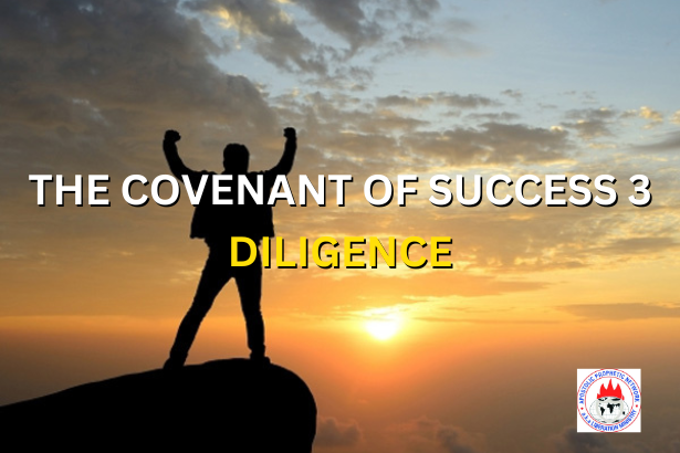 THE COVENANT OF SUCCESS 3 - DILIGENCE