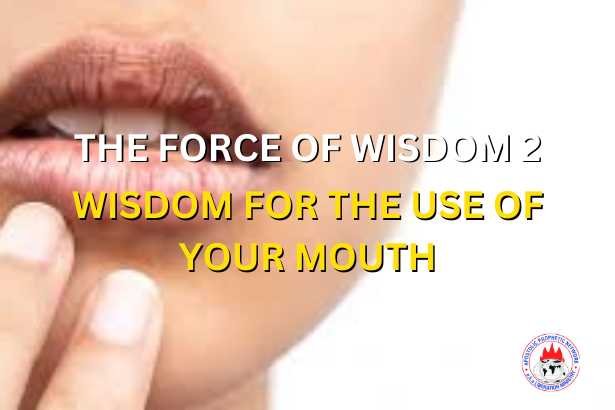 THE FORCE OF WISDOM 2 - WISDOM FOR THE USE OF YOUR MOUTH
