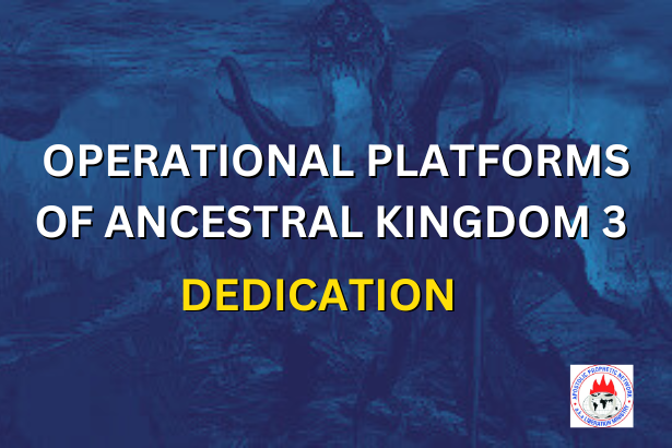 OPERATIONAL PLATFORMS OF ANCESTRAL KINGDOM 3 - DEDICATION