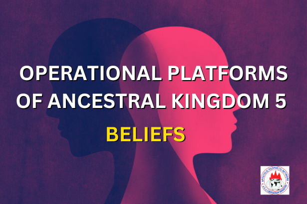 OPERATIONAL PLATFORMS OF ANCESTRAL KINGDOM 5 - BELIEFS