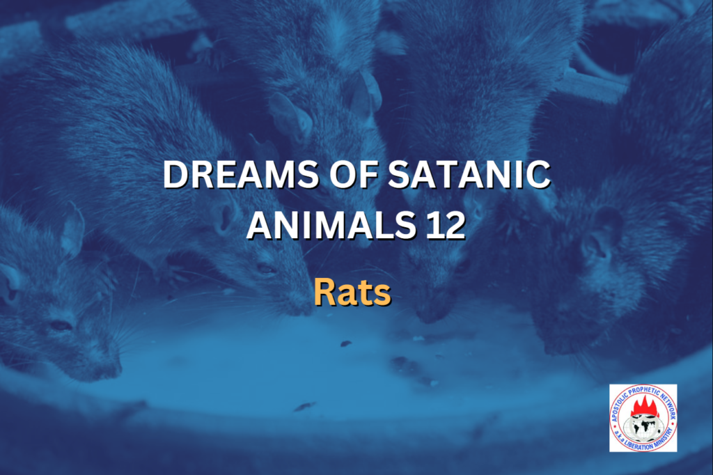 DREAMS OF SATANIC ANIMALS 12 - Rats