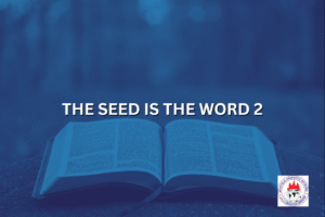 THE SEED IS THE WORD 2