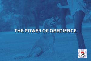 THE POWER OF OBEDIENCE