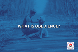 WHAT IS OBEDIENCE?