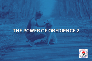 THE POWER OF OBEDIENCE 2