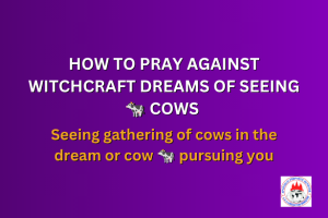 HOW TO PRAY AGAINST WITCHCRAFT DREAMS OF SEEING 🐄 COWS - Seeing gathering of cows in the dream or cow 🐄 pursuing you