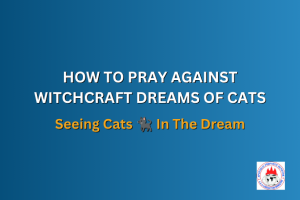HOW TO PRAY AGAINST WITCHCRAFT DREAMS OF CATS - Seeing Cats 🐈‍⬛ In The Dream