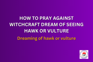 HOW TO PRAY AGAINST WITCHCRAFT DREAM OF SEEING HAWK OR VULTURE - Dreaming of hawk or vulture