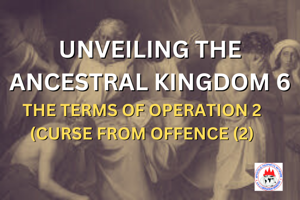 UNVEILING THE ANCESTRAL KINGDOM 6 - THE TERMS OF OPERATION 2 (CURSE FROM OFFENCE 2)