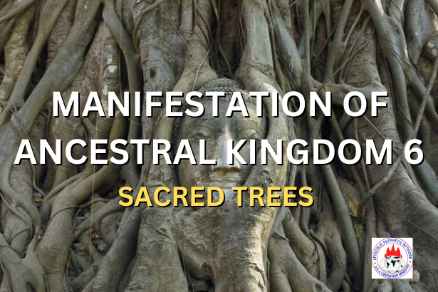 MANIFESTATION OF ANCESTRAL KINGDOM 6 - SACRED TREES