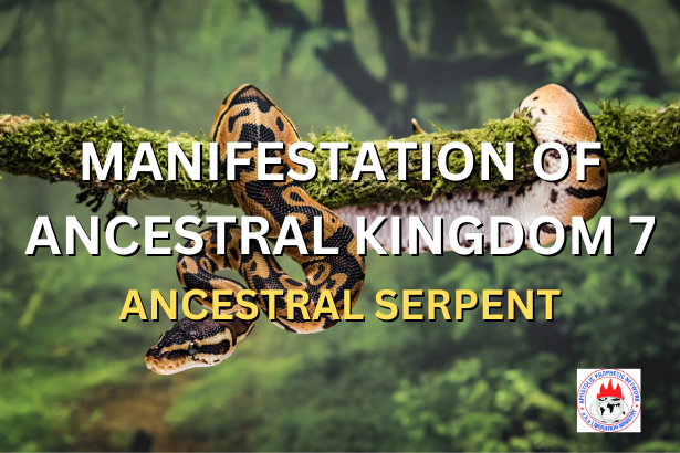 MANIFESTATION OF ANCESTRAL KINGDOM 7 - ANCESTRAL SERPENT