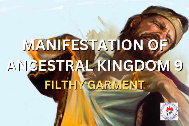 MANIFESTATION OF ANCESTRAL KINGDOM 9 - FILTHY GARMENT