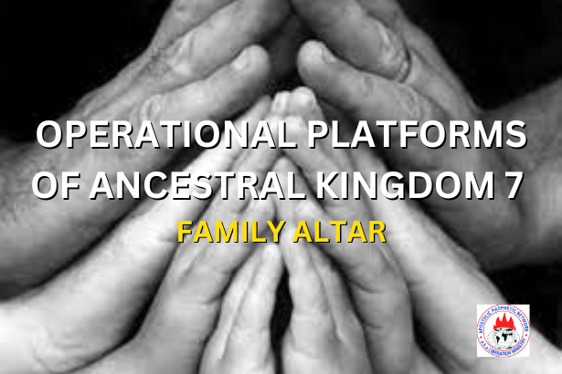 OPERATIONAL PLATFORMS OF ANCESTRAL KINGDOM 7 - FAMILY ALTAR