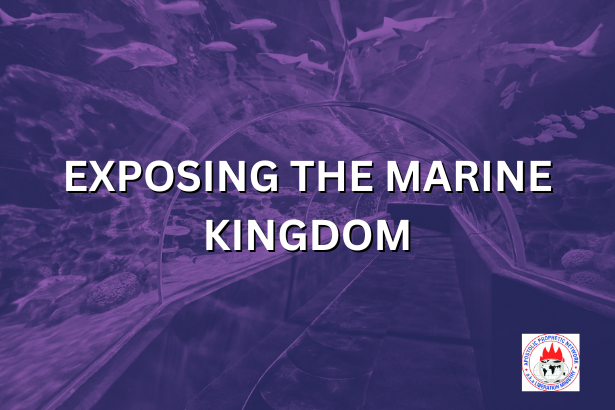 EXPOSING THE MARINE KINGDOM