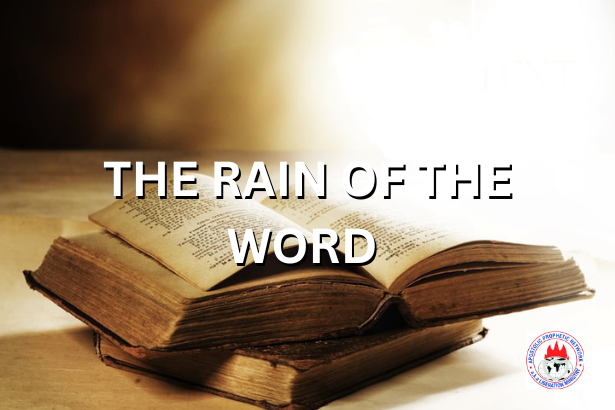 THE RAIN OF THE WORD