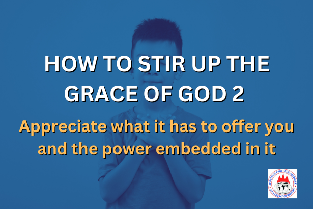 HOW TO STIR UP THE GRACE OF GOD 2 - Appreciate what it has to offer you and the power embedded in it