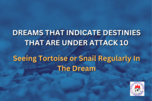 DREAMS THAT INDICATE DESTINIES THAT ARE UNDER ATTACK 10 - Seeing Tortoise or Snail Regularly In The Dream