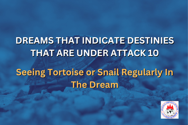 DREAMS THAT INDICATE DESTINIES THAT ARE UNDER ATTACK 10 - Seeing Tortoise or Snail Regularly In The Dream