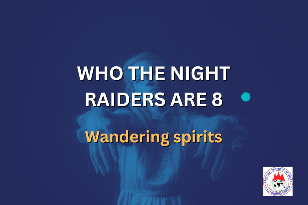 WHO THE NIGHT RAIDERS ARE 8 - Wandering spirits